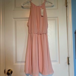 NWT Francesca’s Dress